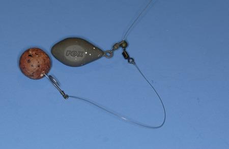 monturi - beginners010resize.jpg